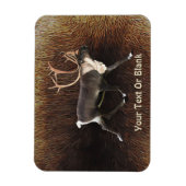 ブルカリブー（トナカイ） マグネット (縦)