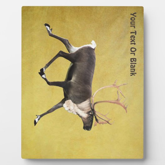 ブルカリブー フォトプラーク (正面)