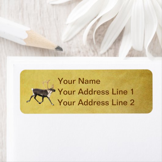 ブルカリブー ラベル (インサイチュ)