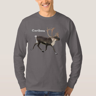 ブルカリブー Tシャツ