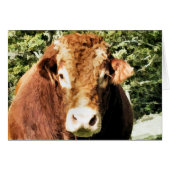 ブルカード (正面横)