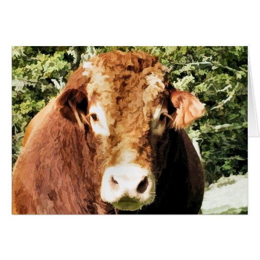 ブルカード (正面横)