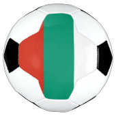 ブルガリアの旗 サッカーボール (回転)