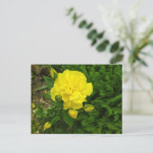 ブルガリアの黄色いバラ ポストカード (スタンド正面)