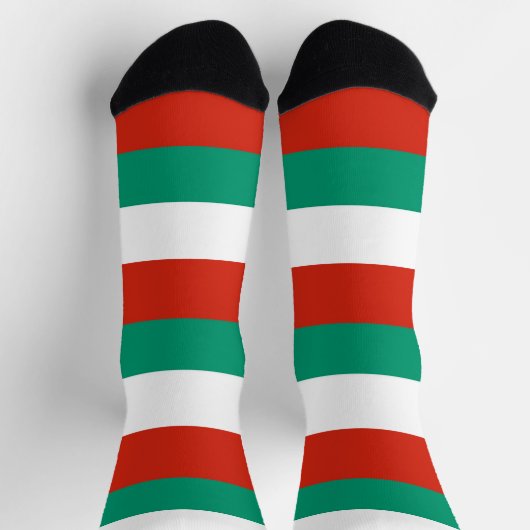 ブルガリア国旗を持つ男性の乗務用ソックス ソックス (上部)