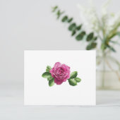 ブルガリア紫色バラ ポストカード (スタンド正面)