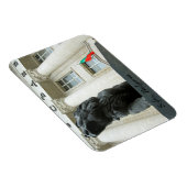 ブルガリア、ソフィア、ライオンの像 マグネット (右側)