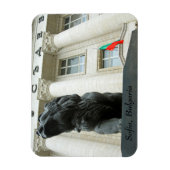 ブルガリア、ソフィア、ライオンの像 マグネット (縦)