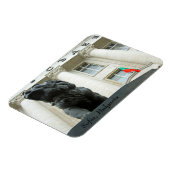 ブルガリア、ソフィア、ライオンの像 マグネット (左側)