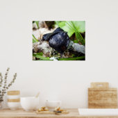 ブルガリアInquinansのポスター ポスター (キッチン)