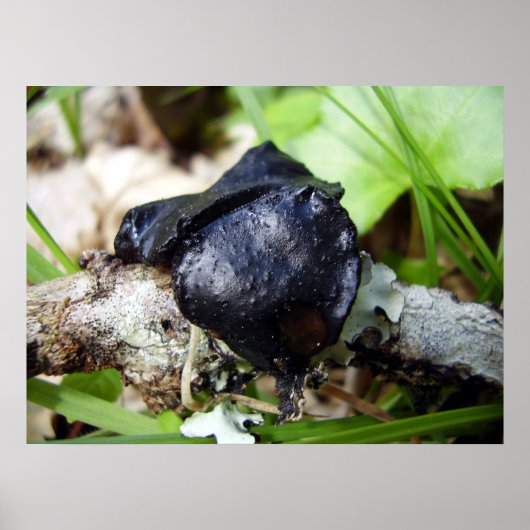 ブルガリアInquinansのポスター ポスター (正面)