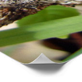 ブルガリアInquinansのポスター ポスター (角)