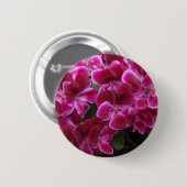 ブルガンディゼラニウム 缶バッジ (正面&裏面)