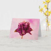 ブルガンディピンクオダマキ（植物） カード (黄色い花)