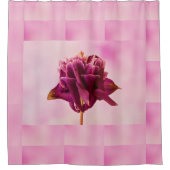 ブルガンディピンクオダマキ(植物) シャワーカーテン (正面)