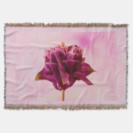 ブルガンディピンクオダマキ（植物） スローブランケット