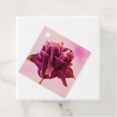 ブルガンディピンクオダマキ（植物） フェイバータグ (インサイチュ)