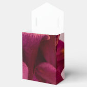 ブルガンディピンクオダマキ（植物） フェイバーボックス (オープン)