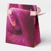 ブルガンディピンクオダマキ（植物） フェイバーボックス (裏面サイド)