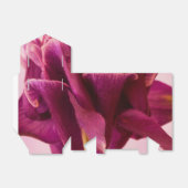 ブルガンディピンクオダマキ（植物） フェイバーボックス (折り畳みなし)