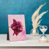 ブルガンディピンクオダマキ（植物） フォトプラーク (側面)