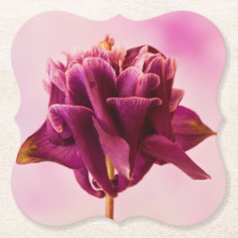 ブルガンディピンクオダマキ（植物） ペーパーコースター