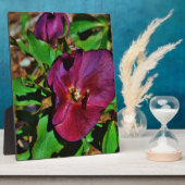 ブルガンディピンクレンテンバラ フォトプラーク (側面)