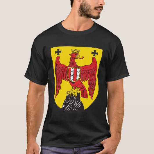ブルゲンラント州 Tシャツ (正面)