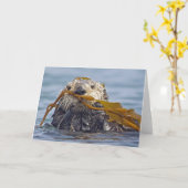 ブルコンブ包まれたのカリフォルニア海カワウソ。 カード (黄色い花)