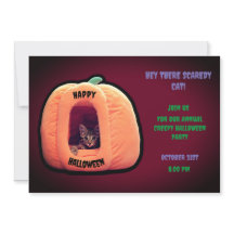 ブルゴーニュとオレンジカボチャ不気味子猫