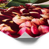 ブルゴーニュと赤面フローラ ポスター (角)