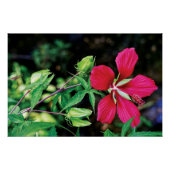 ブルゴーニュのエレガンス：自然のラブソング ポスター (正面)