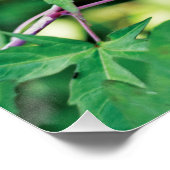 ブルゴーニュのエレガンス：自然のラブソング ポスター (コーナー)