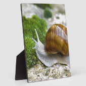 ブルゴーニュのカタツムリ フォトプラーク (側面)