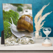 ブルゴーニュのカタツムリ フォトプラーク (側面)