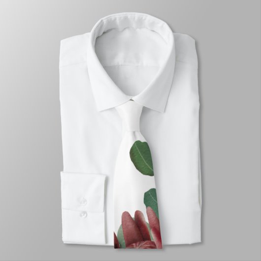 ブルゴーニュの水の色プロテア結婚ズ ネクタイ (タイ)