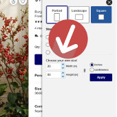 ブルゴーニュフローラ17台結婚の座席 ポスター