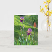 ブルゴーニュ・アイリス… カード (黄色い花)