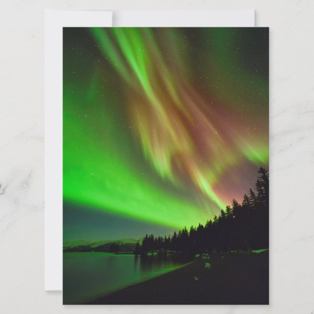 ブルゴーニュ・オーロラ (正面)