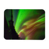 ブルゴーニュ・オーロラ マグネット (横)