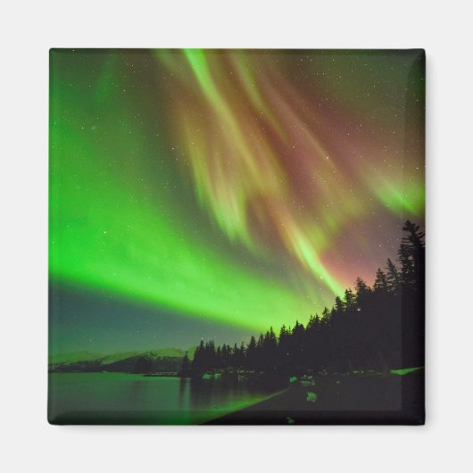 ブルゴーニュ・オーロラ マグネット (正面)