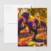 ブルゴーニュ・フランス旅行のブドウ ポストカード (正面/裏面)