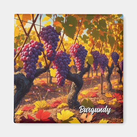 ブルゴーニュ・フランス旅行のブドウ マグネット (正面)