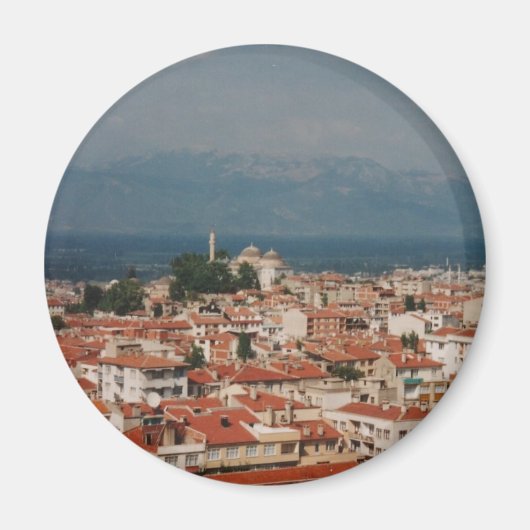 ブルサ マグネット (正面)