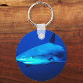 ブルシャーク キーホルダー (正面)