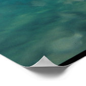 ブルシャーク – Carcharhinus leucas ポスター (角)