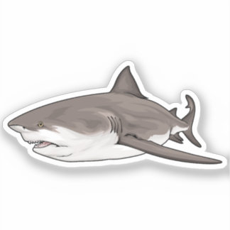 ブルシャークA シール
