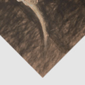 ブルスカルウエスタンカントリーブラウンセピアア素朴ート 薄葉紙 (詳細)