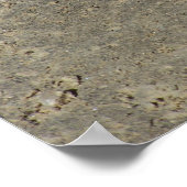 ブルスネーク顔オフ(カメラ付) ポスター (角)