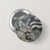 ブルスネーク(Pitophis catenifer sayi) 缶バッジ (正面&裏面)